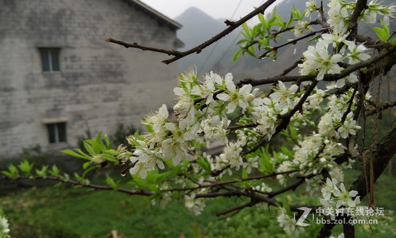 MX4：无主题随拍，有几张用美图裁剪，自动美化。