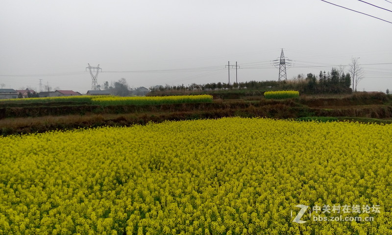 MX4：无主题随拍，有几张用美图裁剪，自动美化。