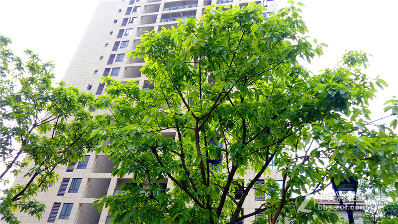 #檬懂青春，有声有色！#联想乐檬K3 Note全方位系统体验