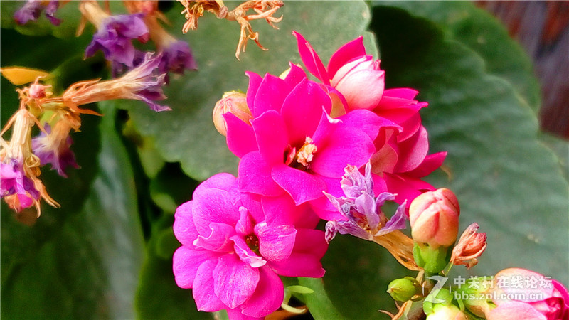 #檬懂青春，有声有色！#联想乐檬K3 Note全方位系统体验