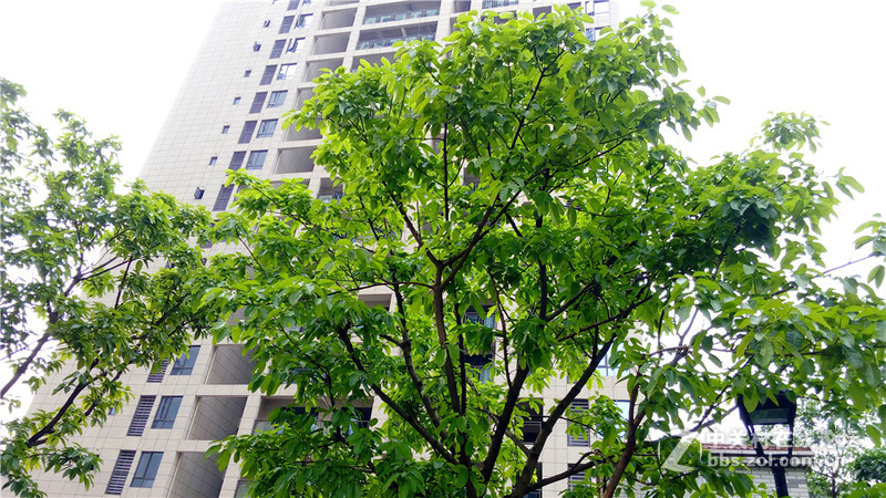 #檬懂青春，有声有色！#联想乐檬K3 Note与K3升级不止一点点