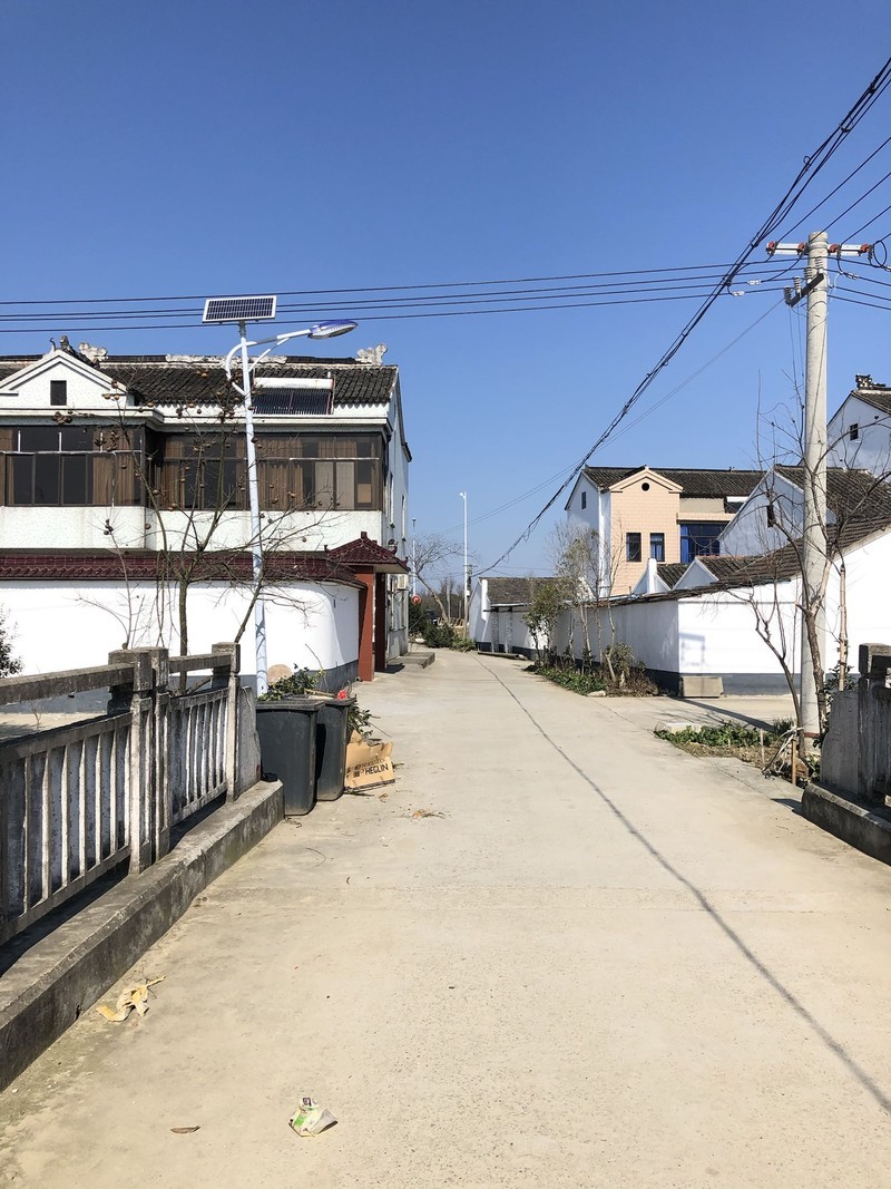 iPhonex日常拍照样张