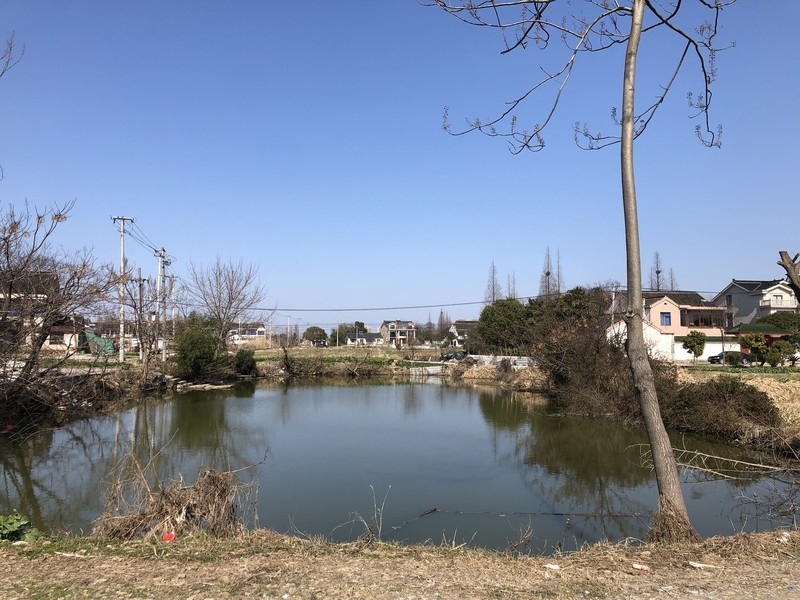 iPhonex日常拍照样张