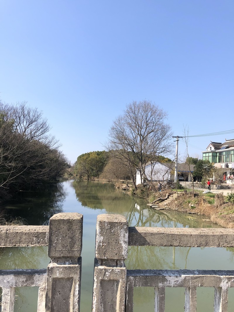 iPhonex日常拍照样张