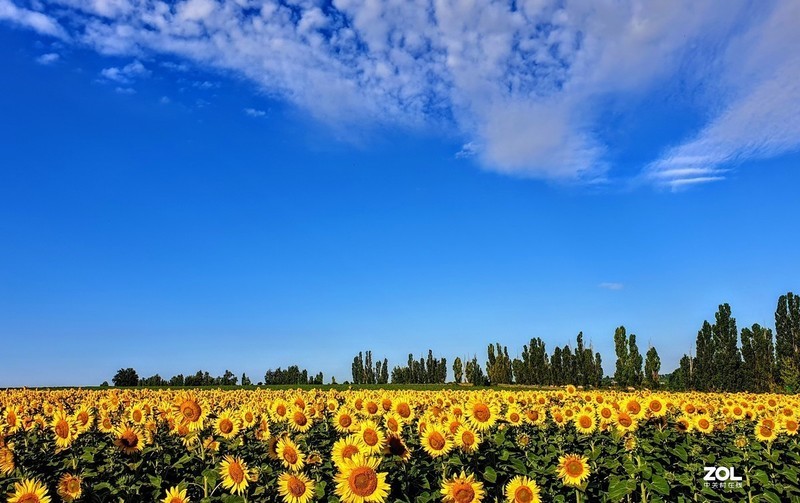 2019盛夏小镇列路基