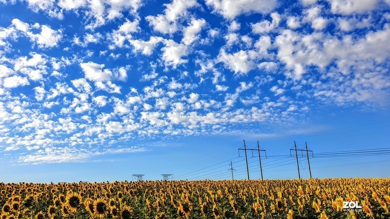 2019盛夏小镇列路基