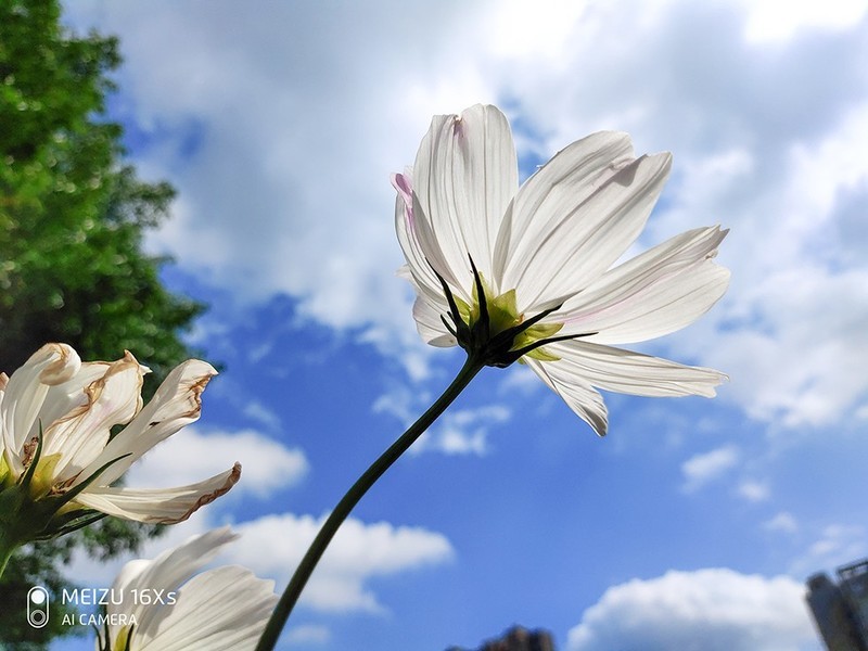 手感第二好的魅族16Xs 令我大开眼界