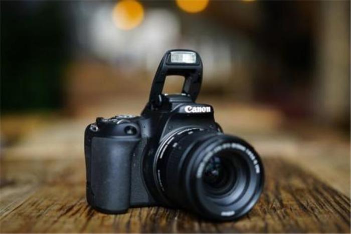 超实用单反选购攻略，入门新手看一看
