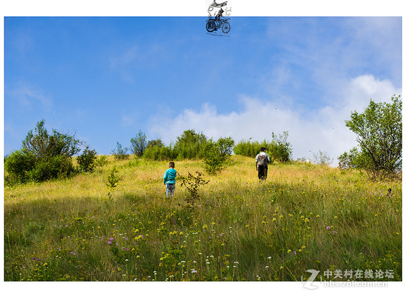 陕西神田草原回来作业
