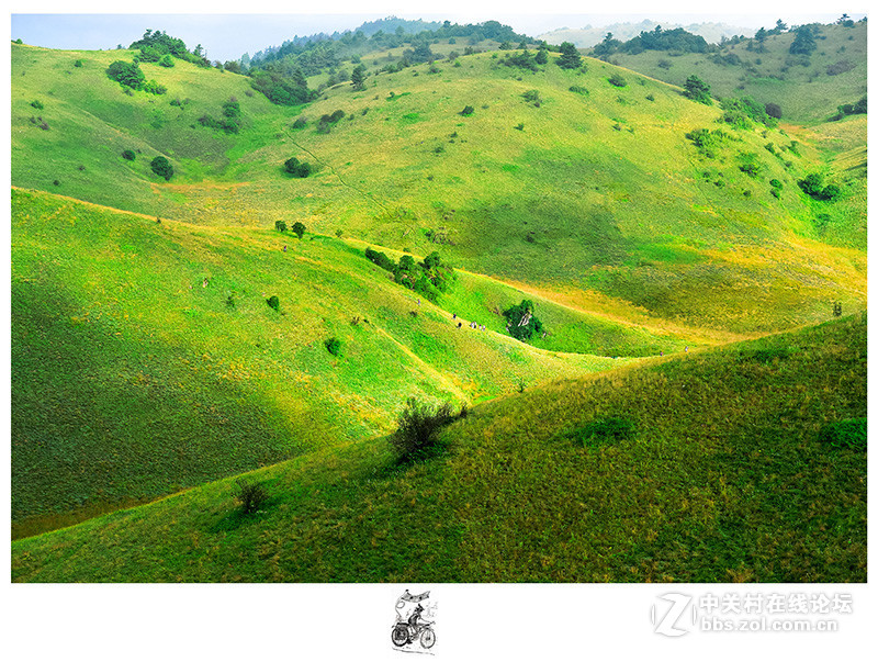 陕西神田草原回来作业