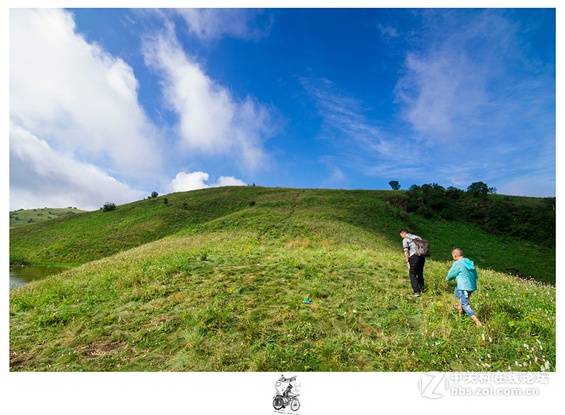 陕西神田草原回来作业
