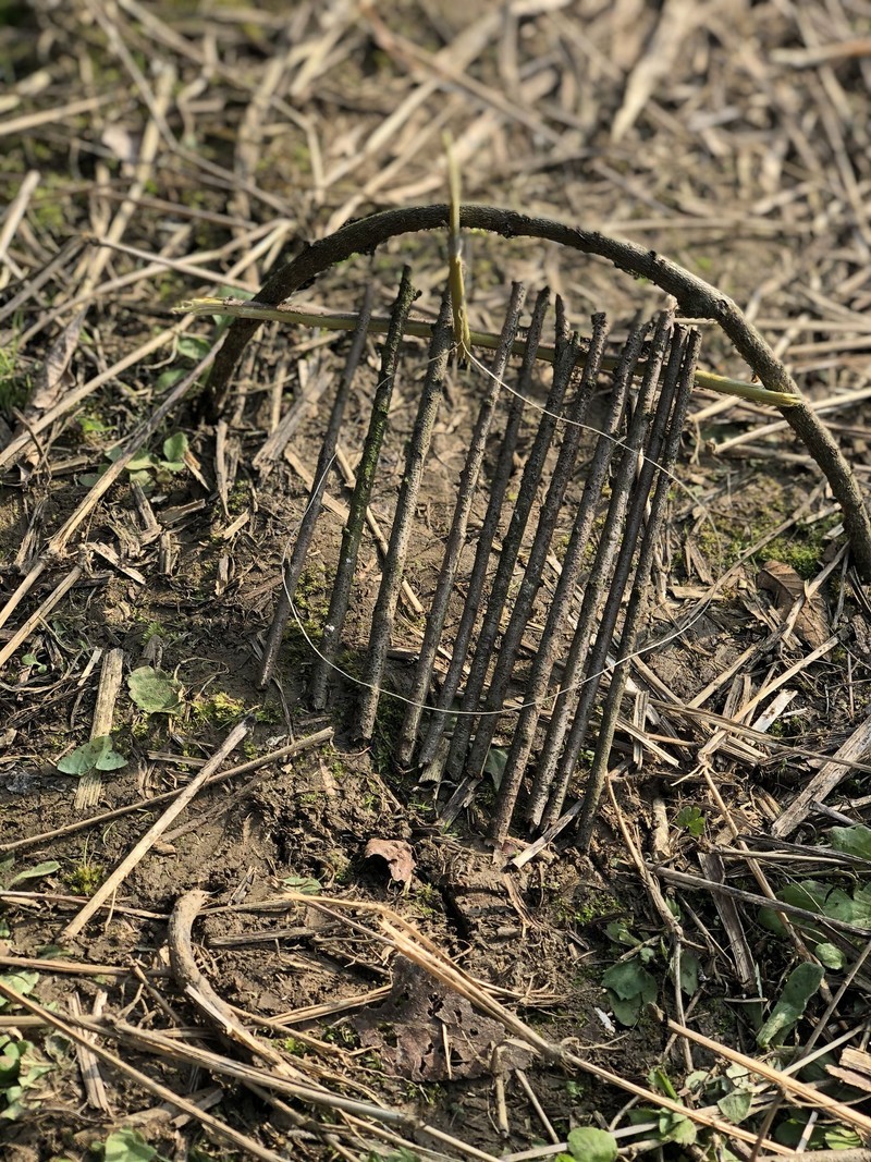 iPhonex日常拍照样张