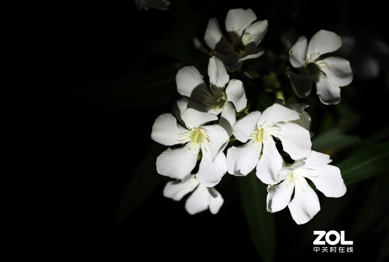 黑夜中，我用它寻找光明——奈特科尔EC4S体验