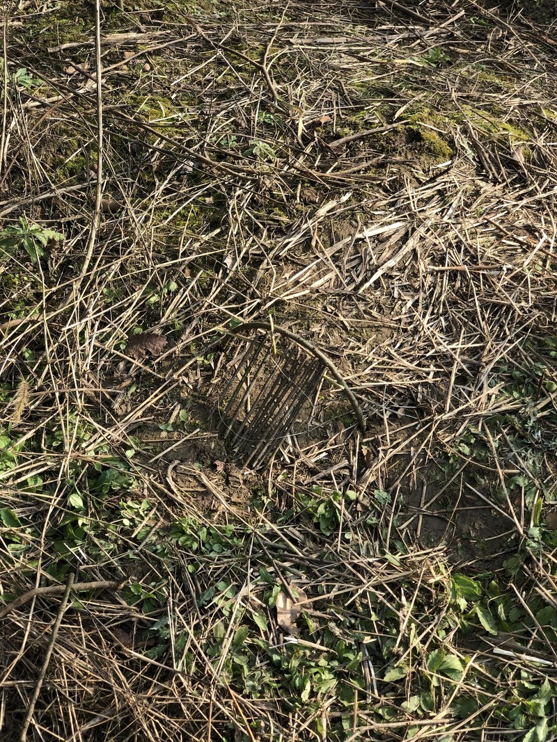 iPhonex日常拍照样张