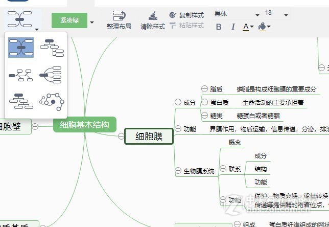 细胞的的基本结构思维导图绘制技巧