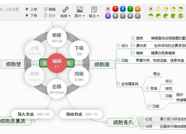 细胞的的基本结构思维导图绘制技巧