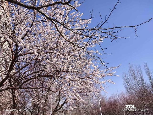 当下值得入手的5G手机急先锋-vivo Z6 5G测评