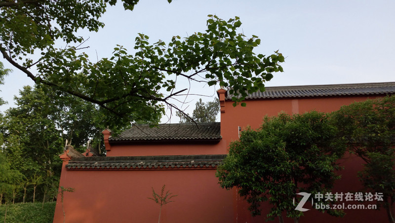 #手机# 玉般剔透，珠般玲珑，X5Pro体验试玩