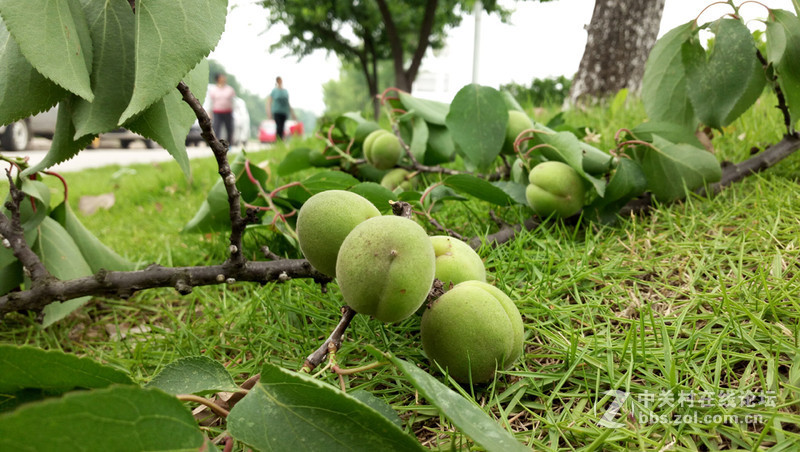 #手机# 玉般剔透，珠般玲珑，X5Pro体验试玩