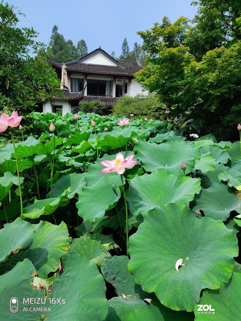 【魅族16Xs试用】不随波逐流的千元均衡机——魅族16Xs全方位体验记录