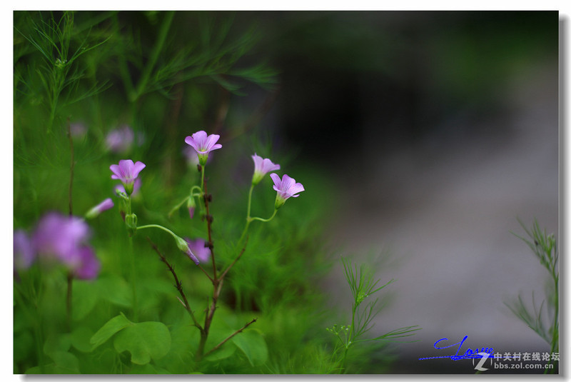新版小痰盂开包测试完整图