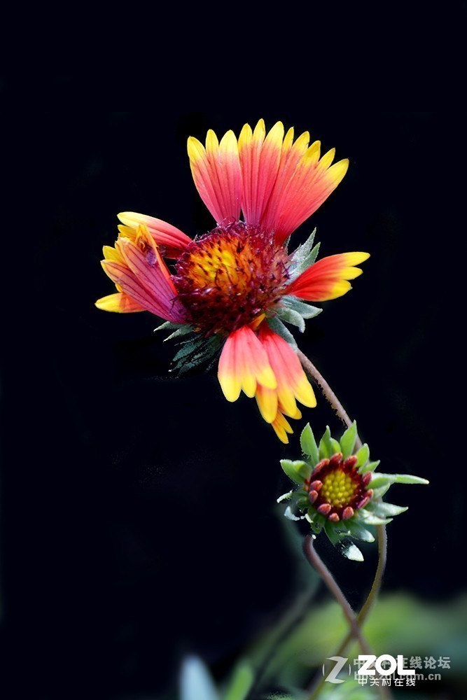 #版主坐堂#小五星空(中国)2019年六月精品荟萃