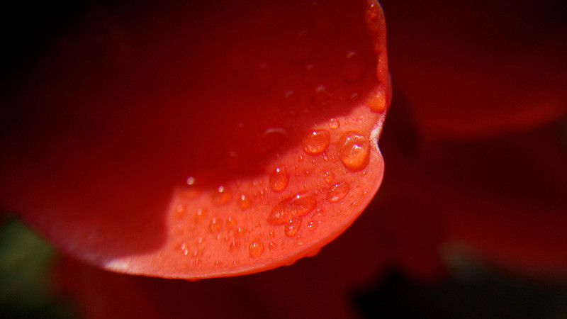 【ELIFE S7体验】 5.5mm超薄手机 ELIFE S7上手秀