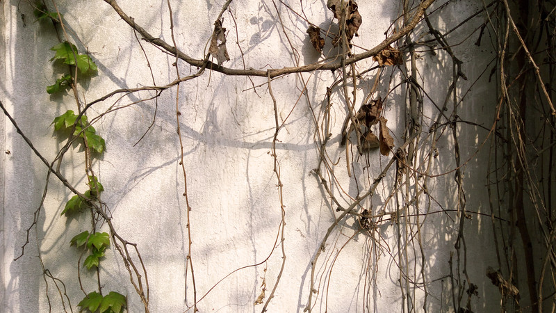 【ELIFE S7体验】 5.5mm超薄手机 ELIFE S7上手秀