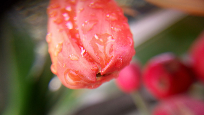 【ELIFE S7体验】 5.5mm超薄手机 ELIFE S7上手秀