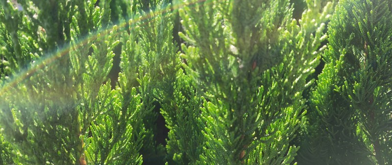 千帆尽览，你是澎湃心潮、也是归尘所望——万字长评OnePlus一加7T Pro