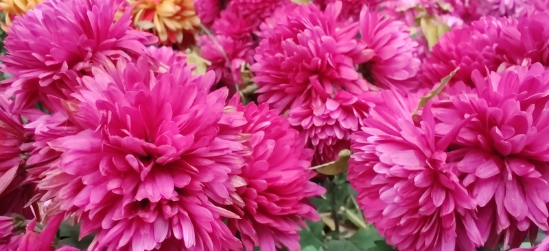 千帆尽览，你是澎湃心潮、也是归尘所望——万字长评OnePlus一加7T Pro