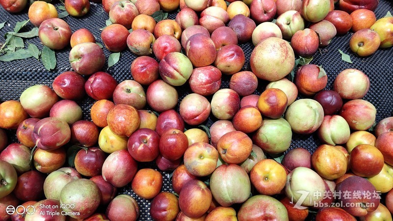 集多重Turbo于一体的Monster——迟到的iQOO全面评测