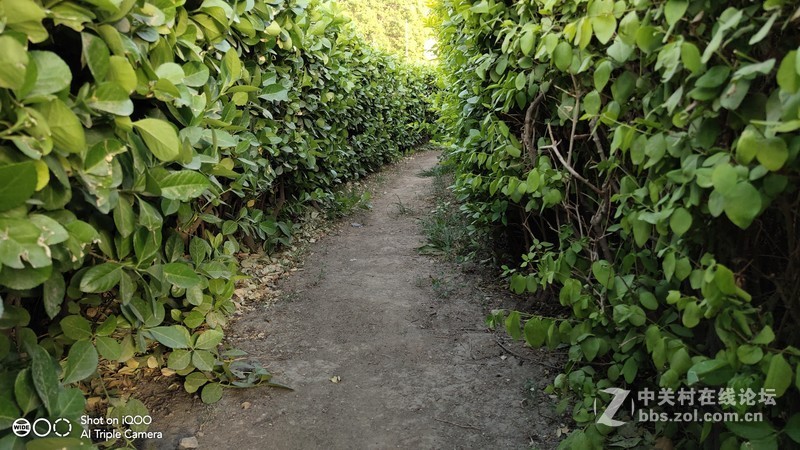 集多重Turbo于一体的Monster——迟到的iQOO全面评测