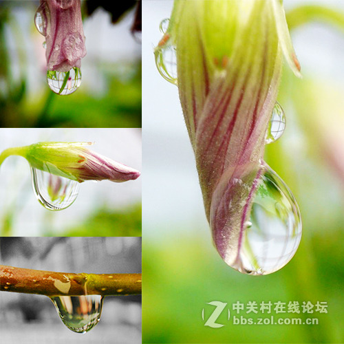 外接爱派赛20倍微距镜头