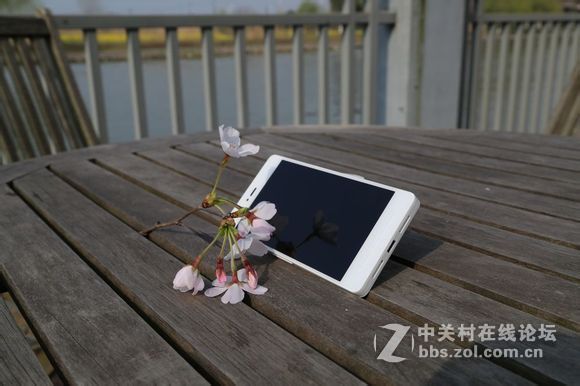 趁着美美嗒天气 给T1拍几张写真