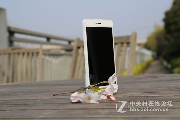 趁着美美嗒天气 给T1拍几张写真