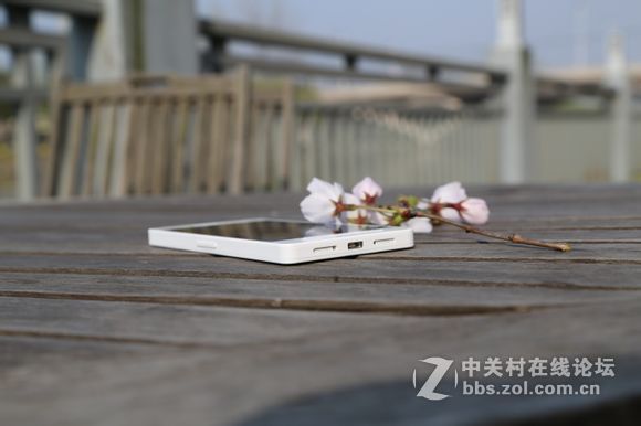 趁着美美嗒天气 给T1拍几张写真