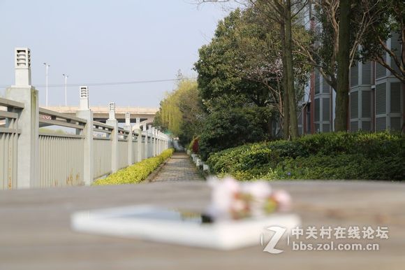 趁着美美嗒天气 给T1拍几张写真