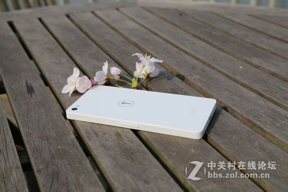 趁着美美嗒天气 给T1拍几张写真