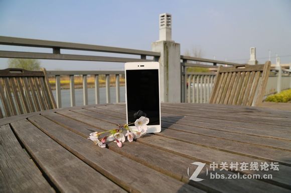 趁着美美嗒天气 给T1拍几张写真