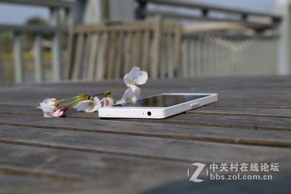 趁着美美嗒天气 给T1拍几张写真