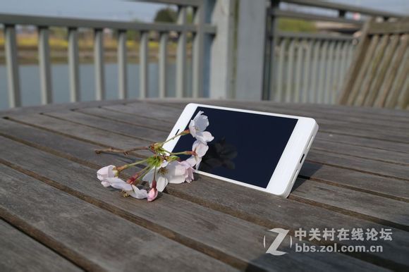 趁着美美嗒天气 给T1拍几张写真