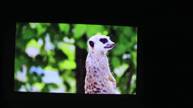 画面无感矫正，当贝投影仪F1C功能再升级，价格却更香