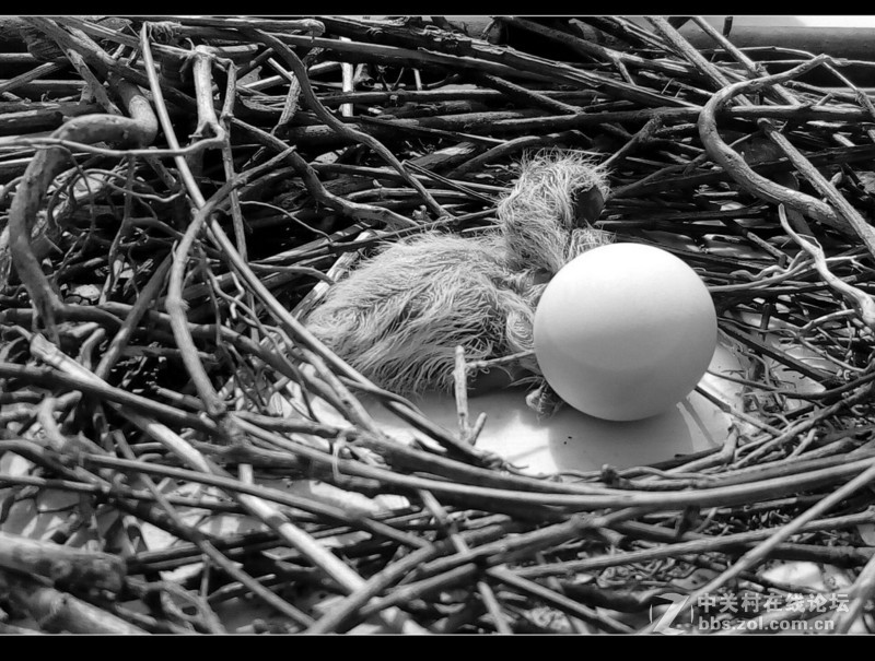 #檬懂青春，有声有色！#不止好一点——乐檬K3 NOTE试用体验之三：样张