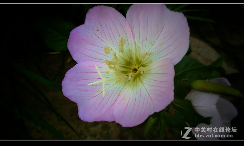 #檬懂青春，有声有色！#不止好一点——乐檬K3 NOTE试用体验之三：样张