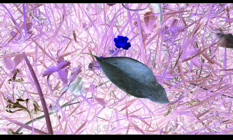 #檬懂青春，有声有色！#不止好一点——乐檬K3 NOTE试用体验之三：样张