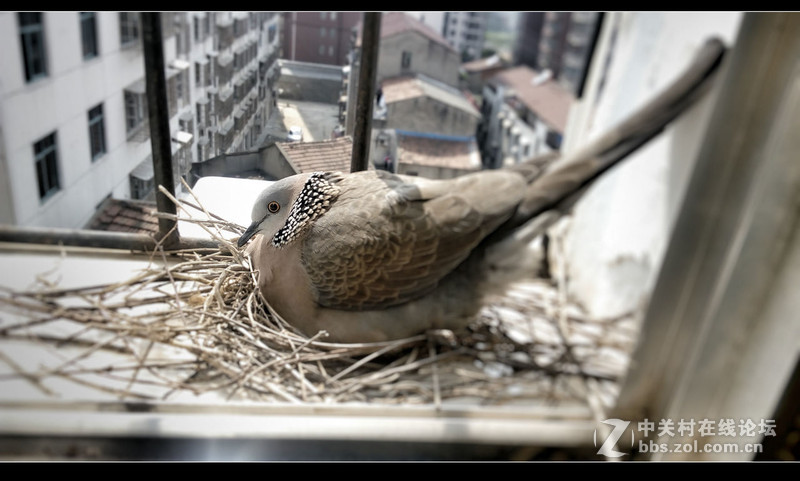 #檬懂青春，有声有色！#不止好一点——乐檬K3 NOTE试用体验之三：样张