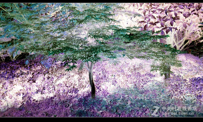 #檬懂青春，有声有色！#不止好一点——乐檬K3 NOTE试用体验之三：样张