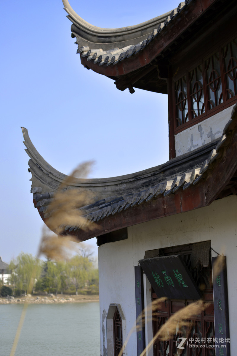 雁鸣湖随拍