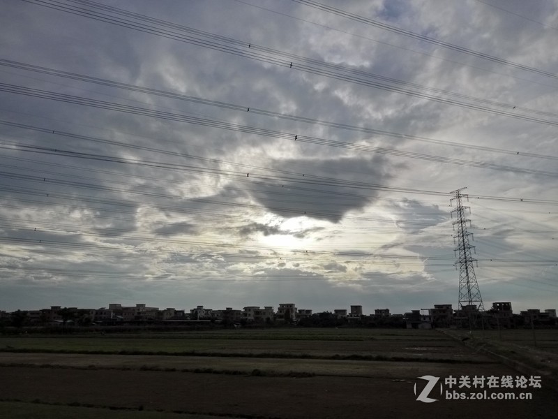 OPPO R7随手拍几张-------欢迎大家欣赏！